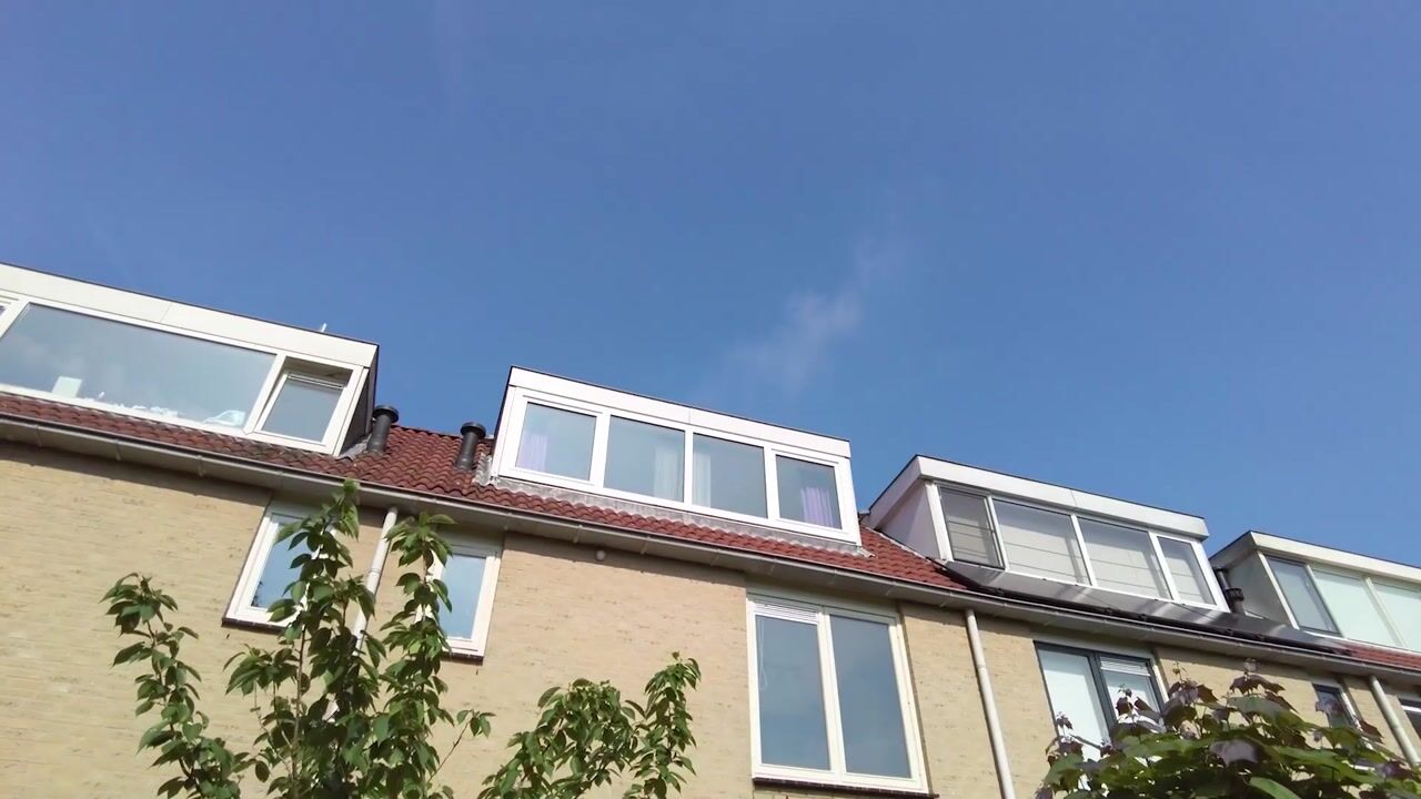 Video van Zwaan 3