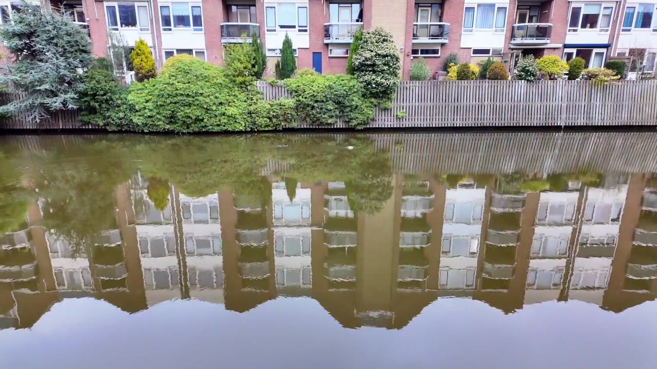 Video van Westvest 303