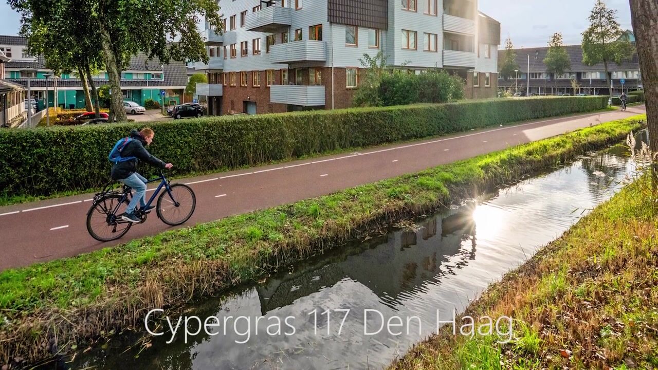 Video of Cypergras 117