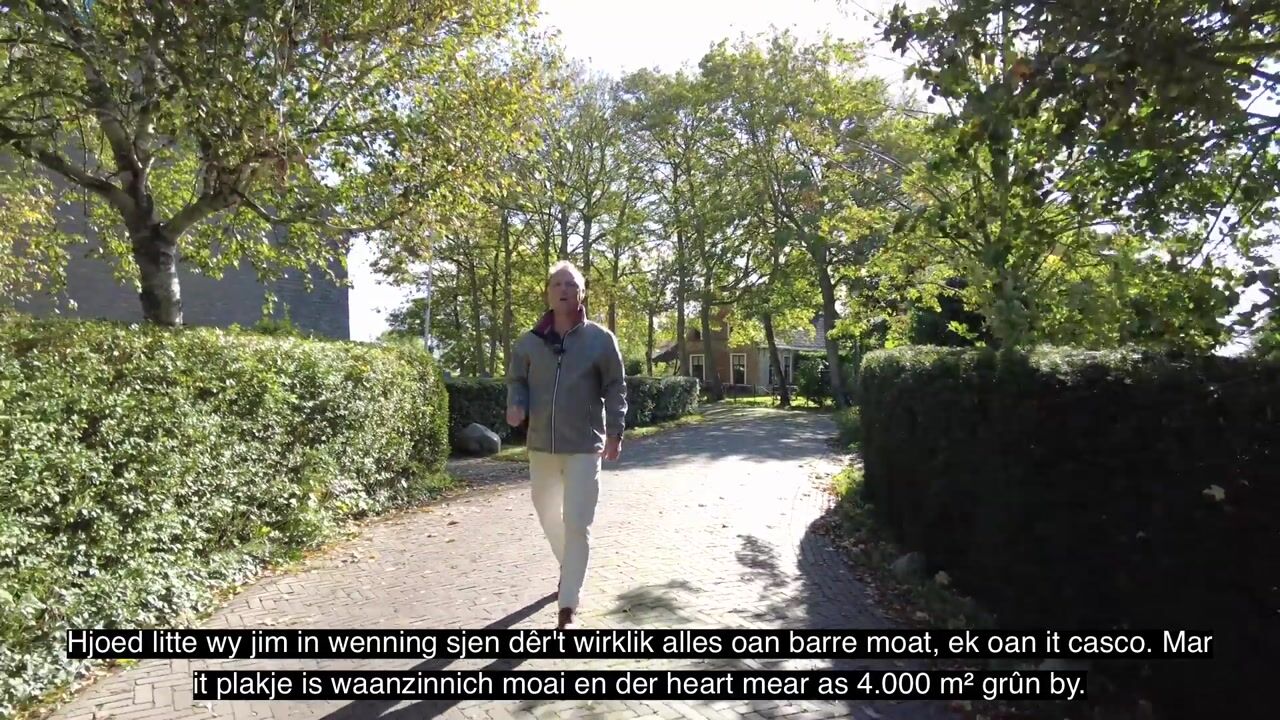 Video van Buren 15