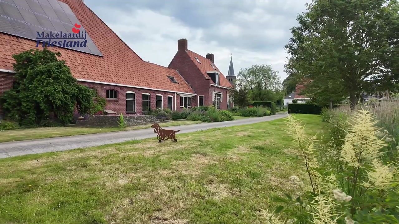 Video van Buorren 41