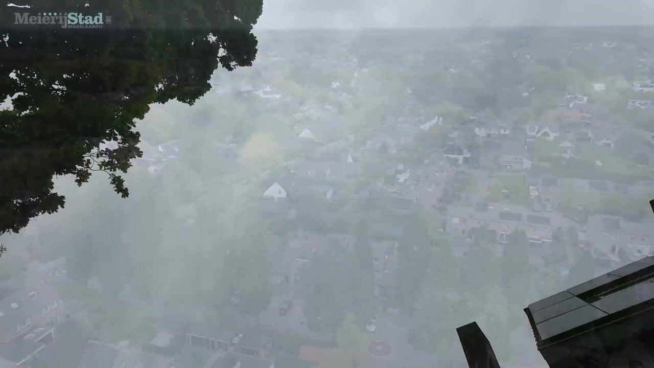 Video van Mandersstraat 54