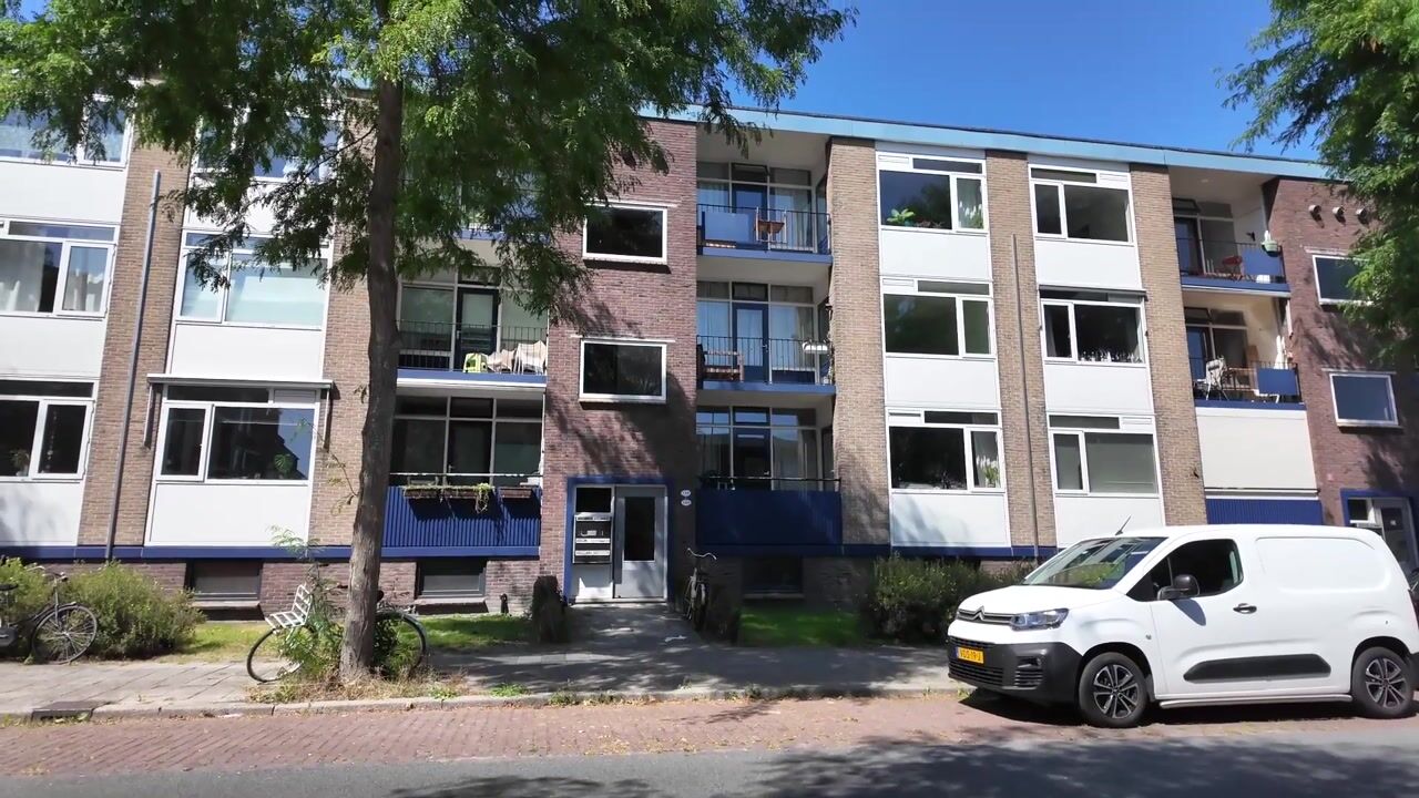 Video van Moesstraat 146