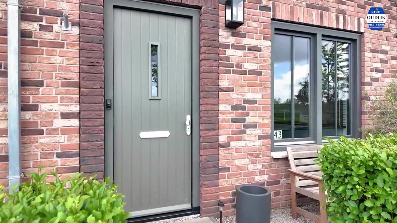 Video of Zonnebaars 43