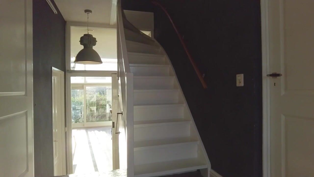 Video van Pyreneeën 5