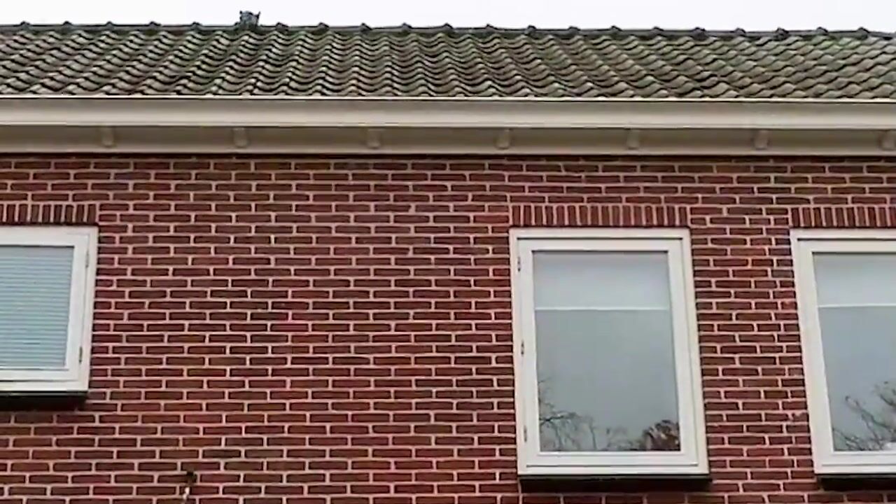 Video van Helleneind 9-A