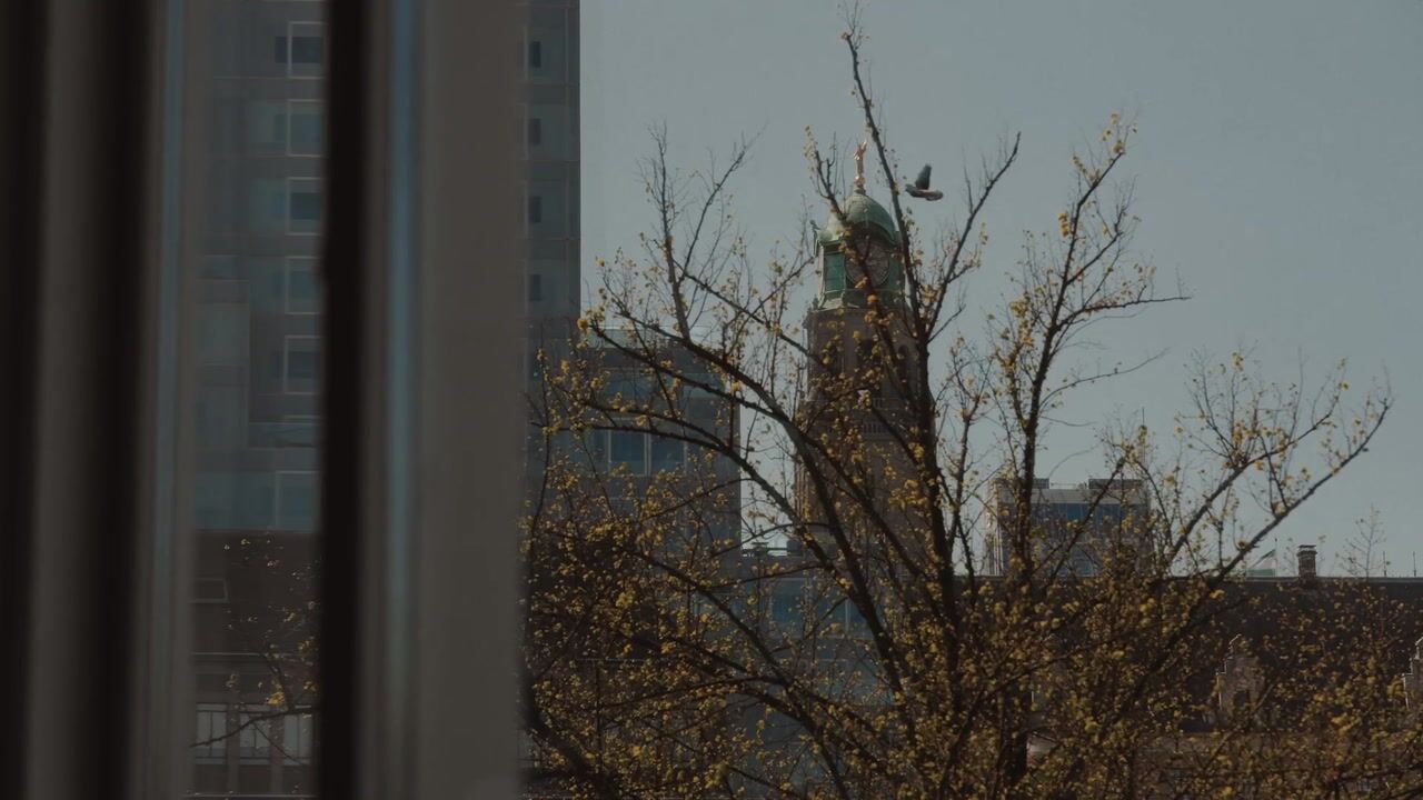Video van Lombardkade 82-B