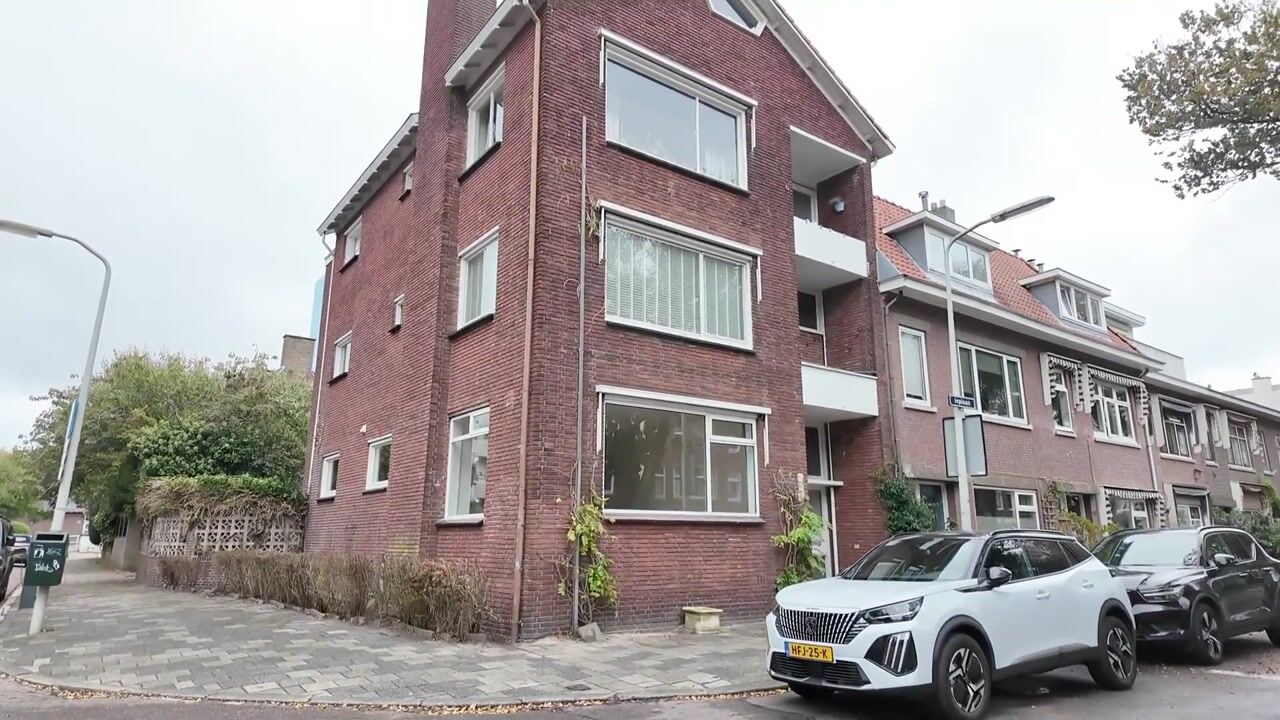 Video van Ieplaan 133