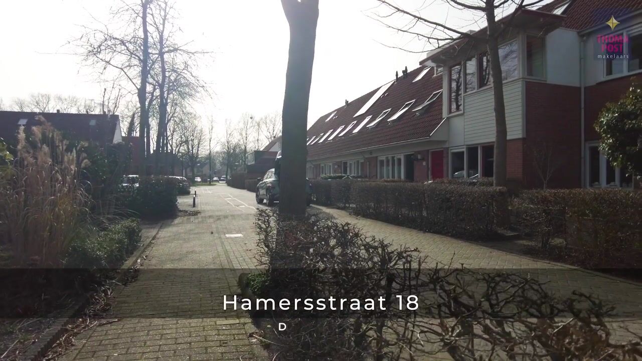 Video van Hamersstraat 18