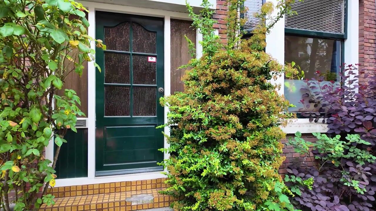 Video van Albert Cuijpstraat 15