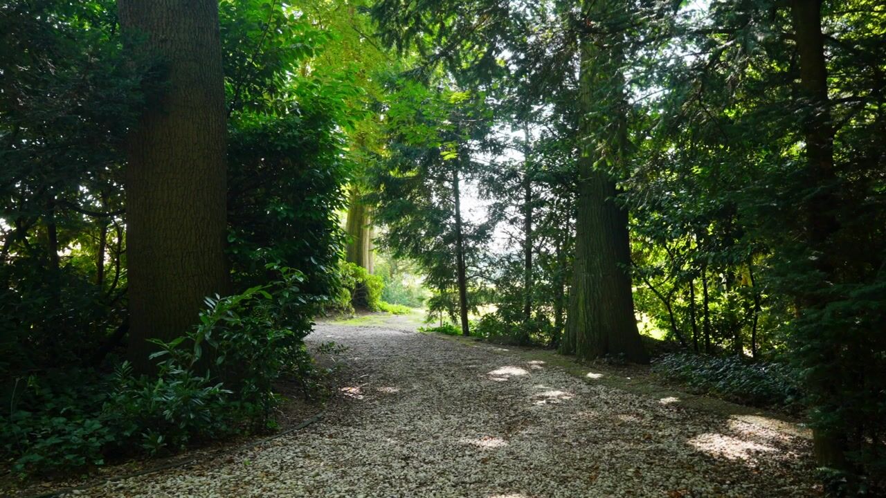 Video of Schelmseweg 101