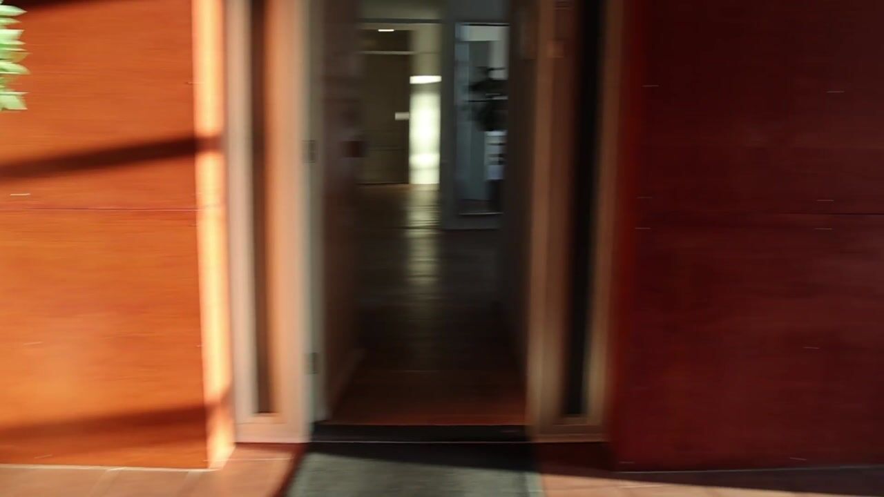 Video of Argusvlinder 123