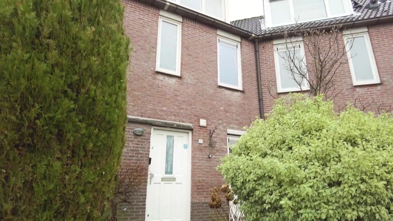 Video of De Nessermolen 37