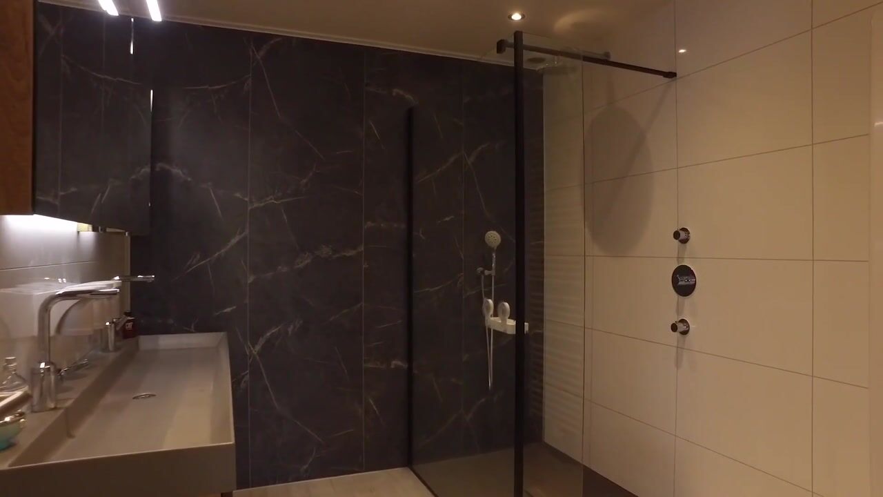 Video of Reeënlaan 11