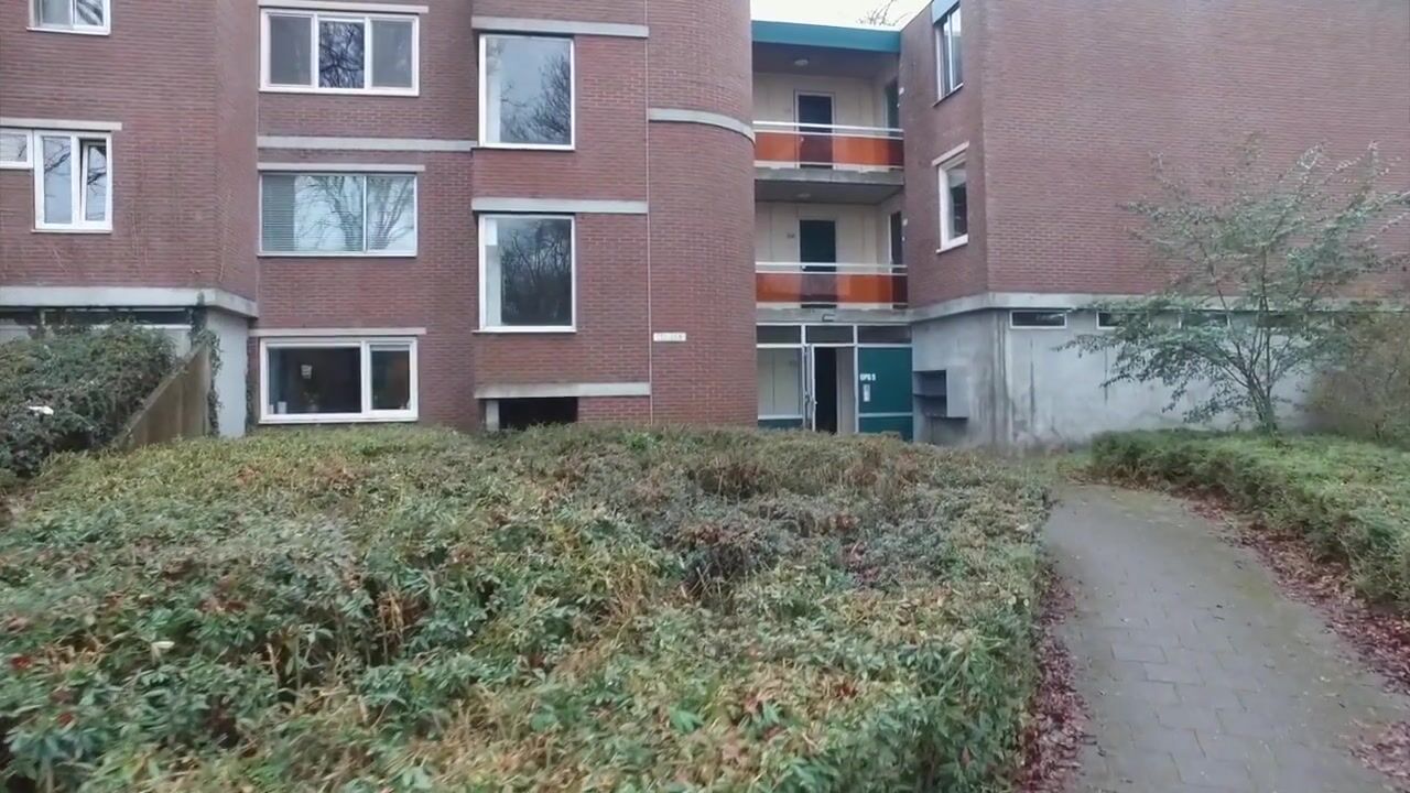 Video of Houtsnijdershorst 151