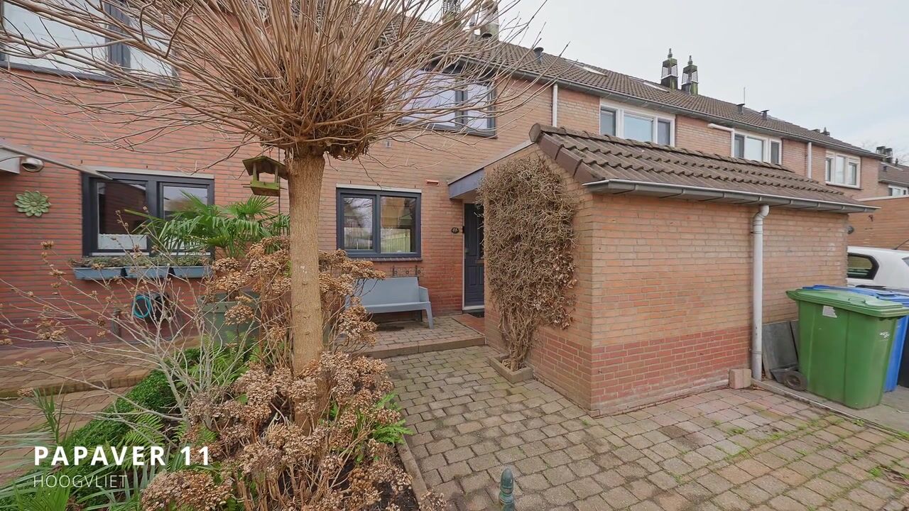 Video van Papaver 11