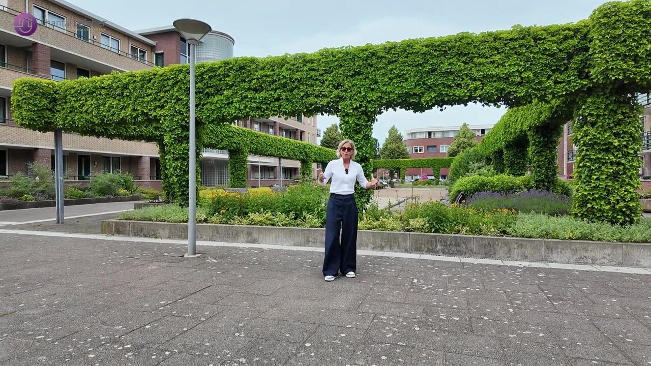 Video van Willem-Alexanderplein 44