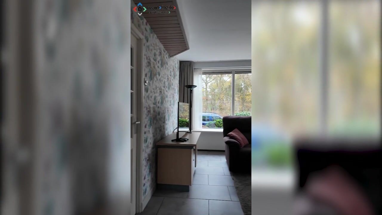 Video of Houtstraat 39