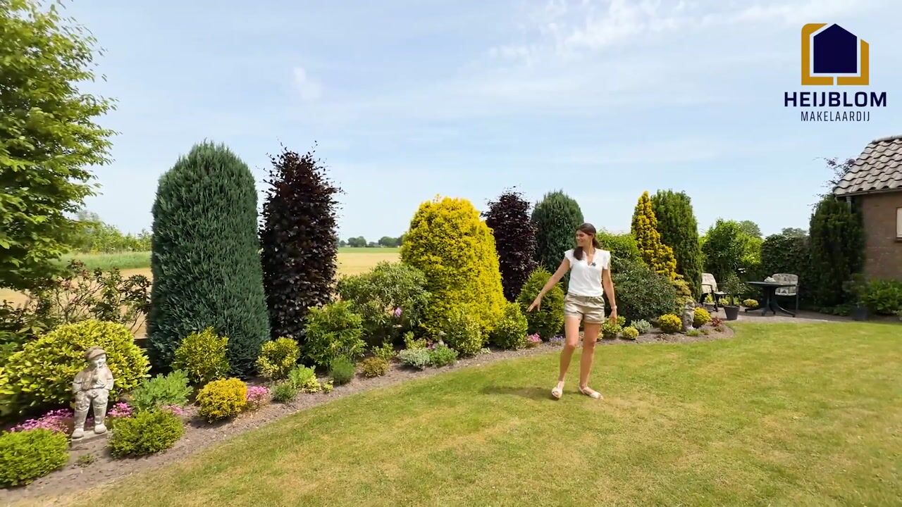 Video van Bornhemweg 150