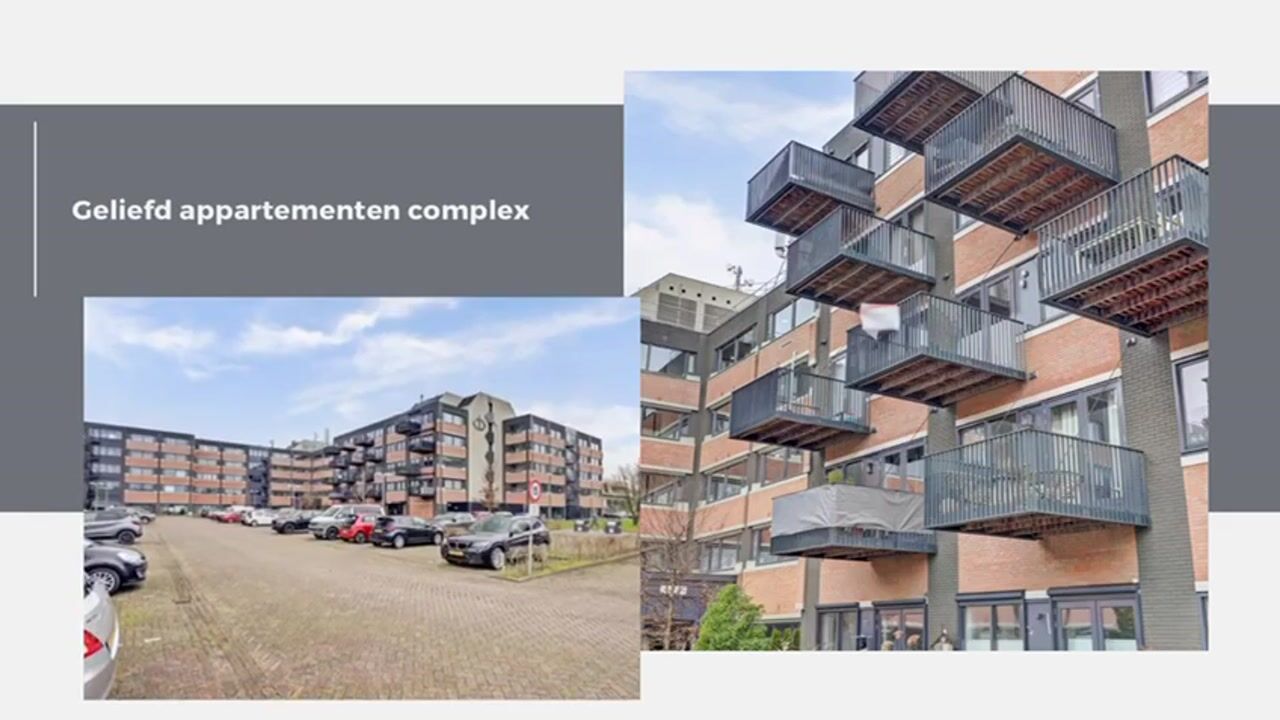 Video van Zandsteen 110