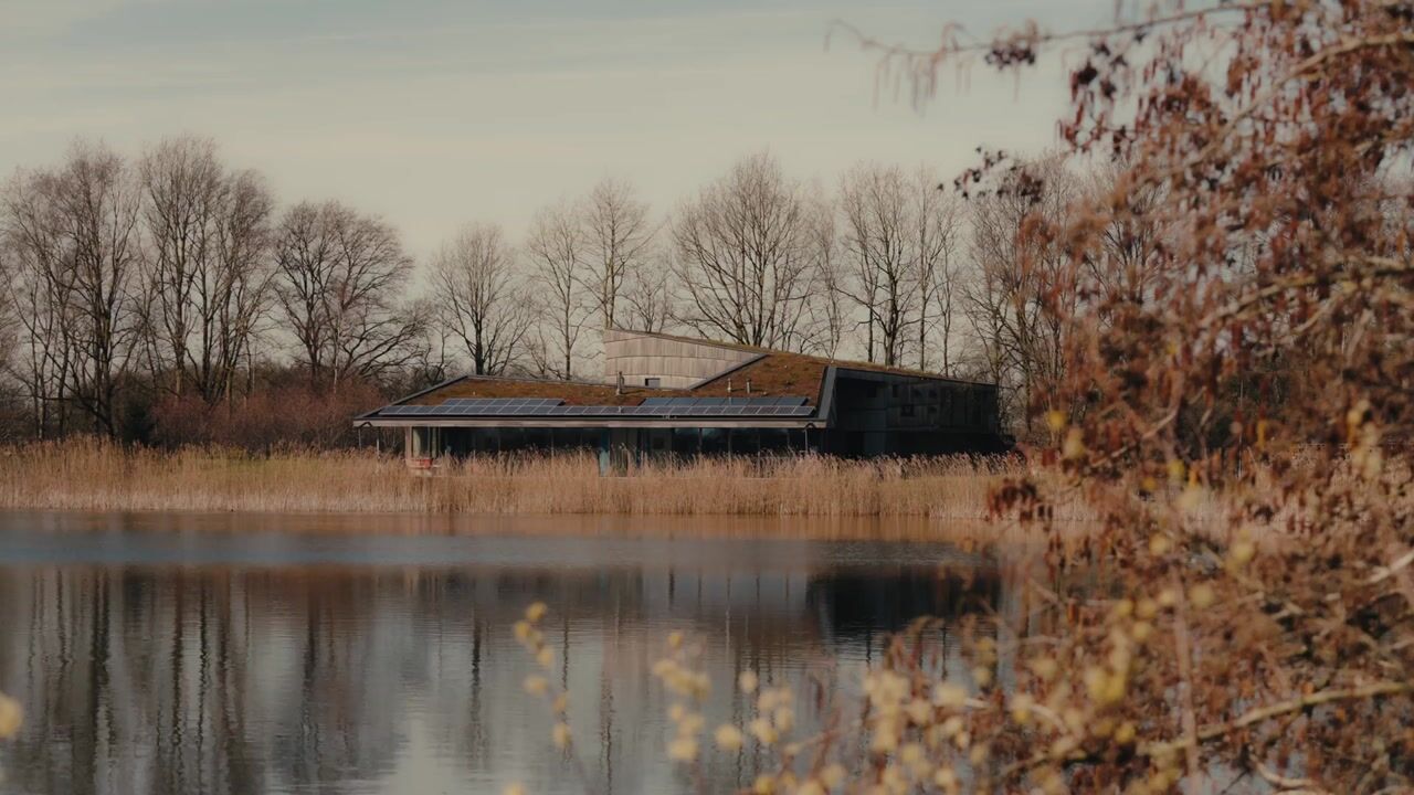 Video van Holtien 11