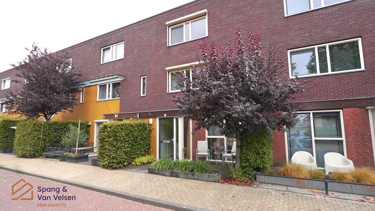 Video van Citroenvlinder 66