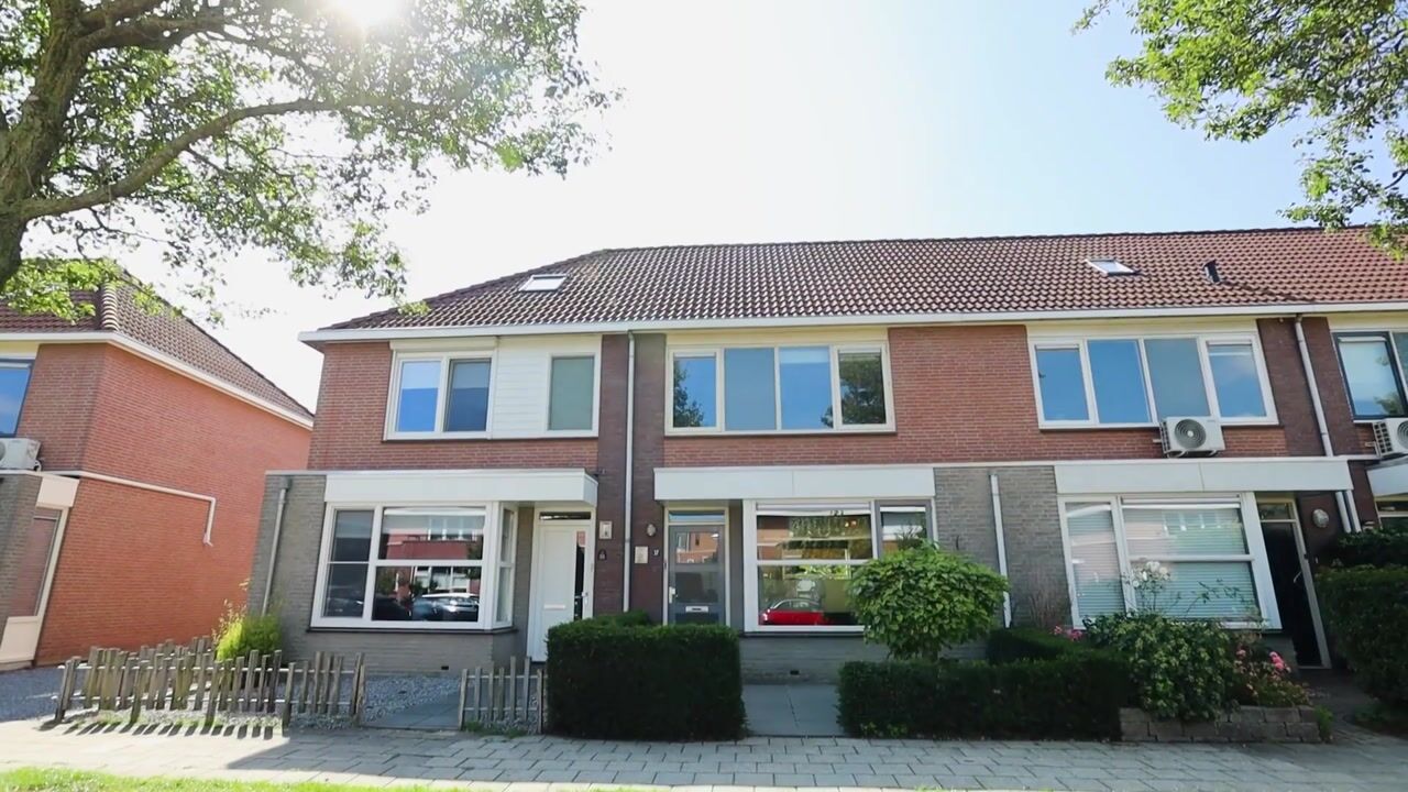 Video of Duifkruid 37