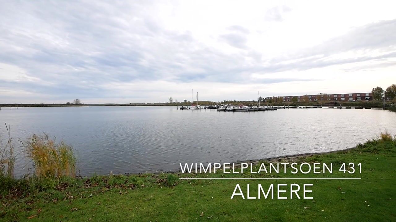 Video van Wimpelplantsoen 431