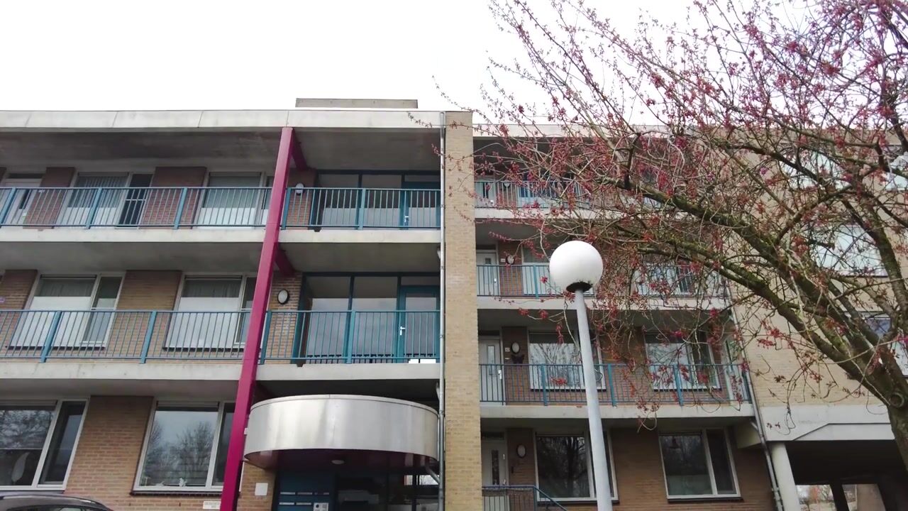 Video van Hooilandplein 66