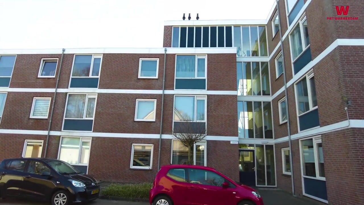 Video van Braambos 17