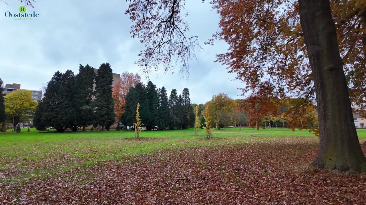 Video of Malvert 6851