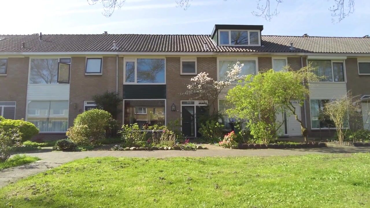 Video of Laan 1954 39