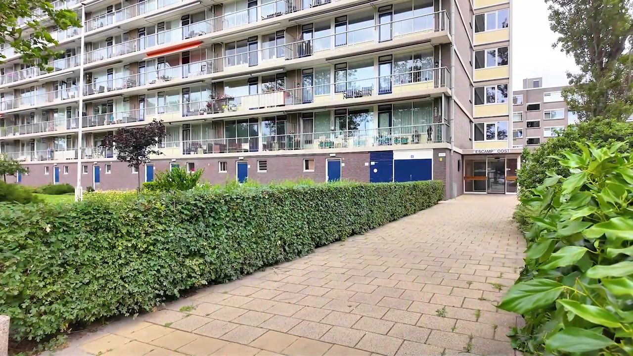 Video van Leyweg 118