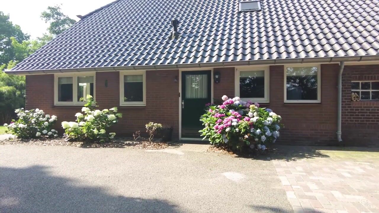 Video van Schapendijk 10