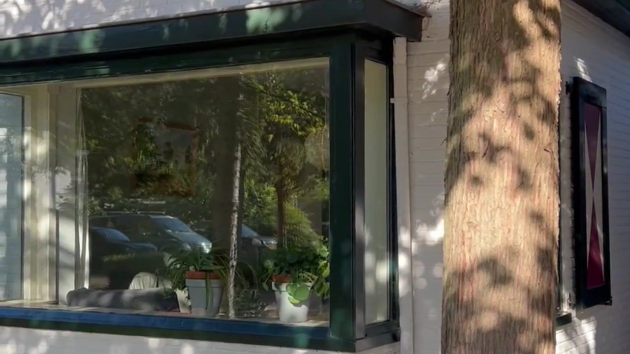 Video van Schuine Hondsbosschelaan 47