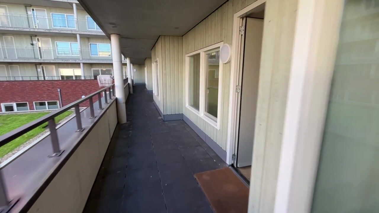 Video van IJsvogelpassage 24