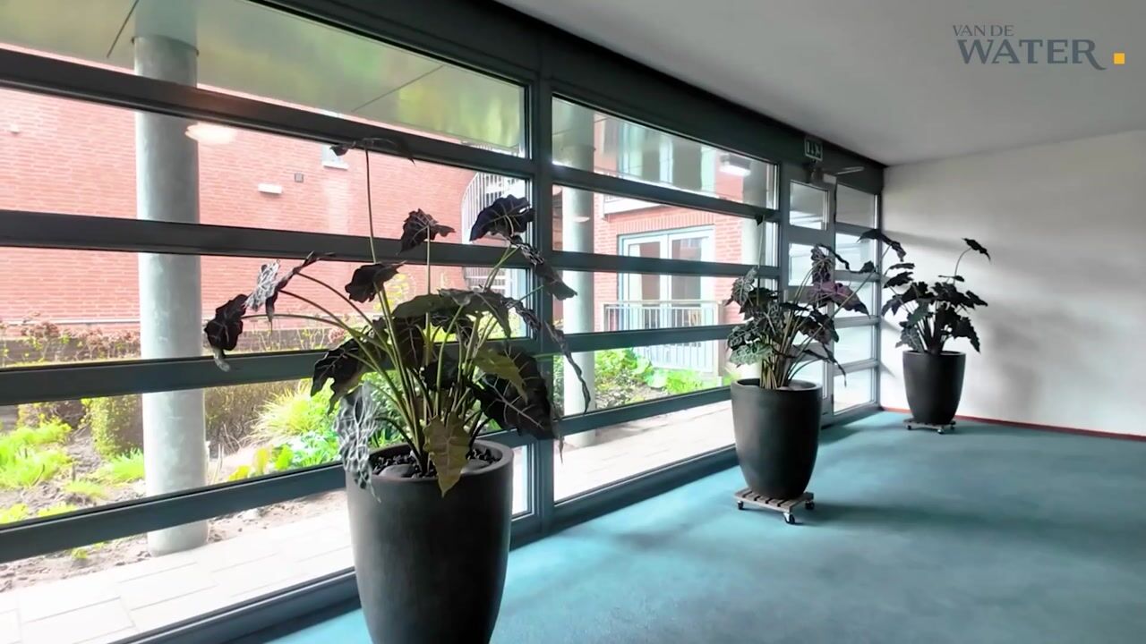 Video of Kardeel 151