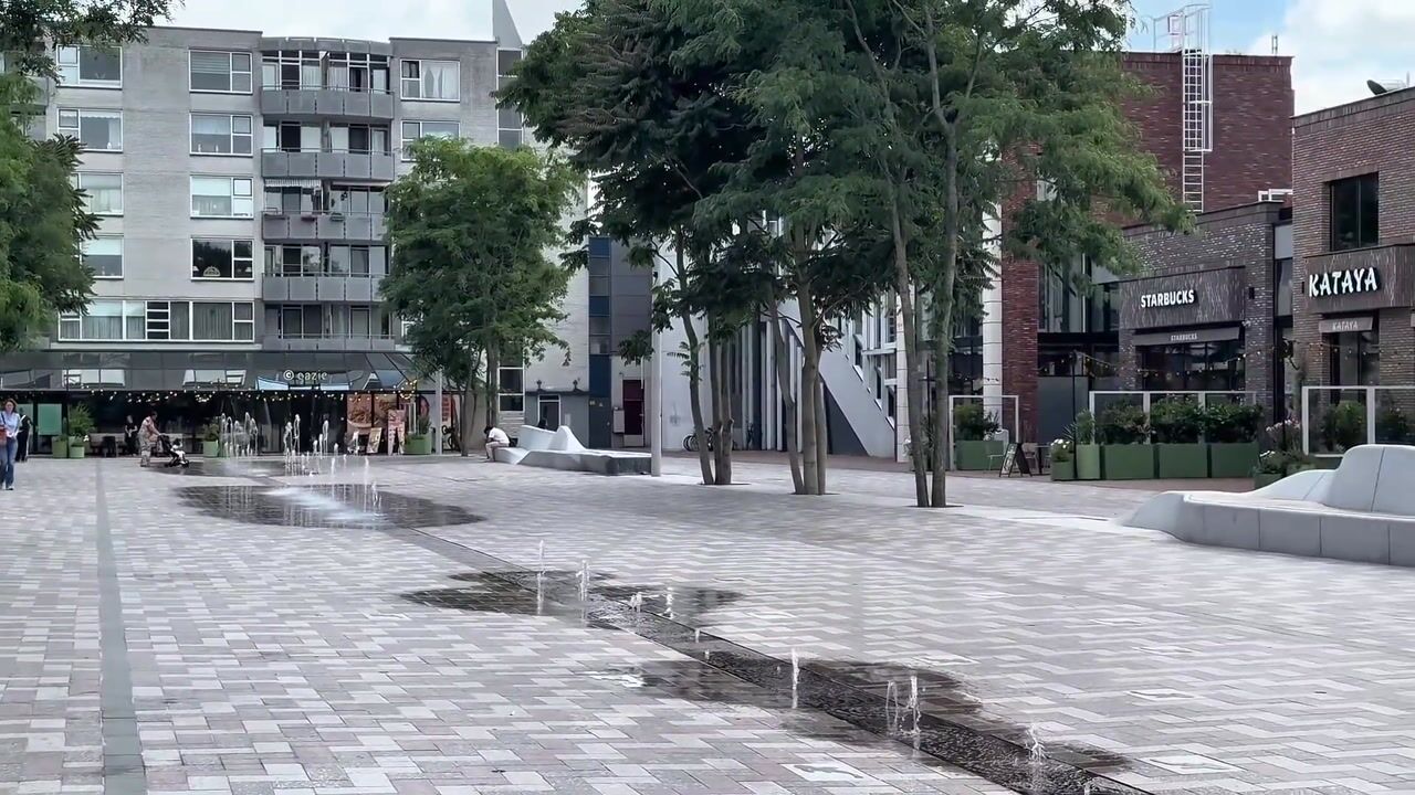 Video van Buizerdhof 339
