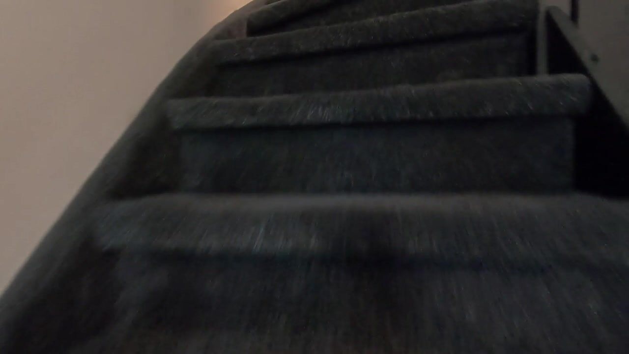 Video of Essenwede 29