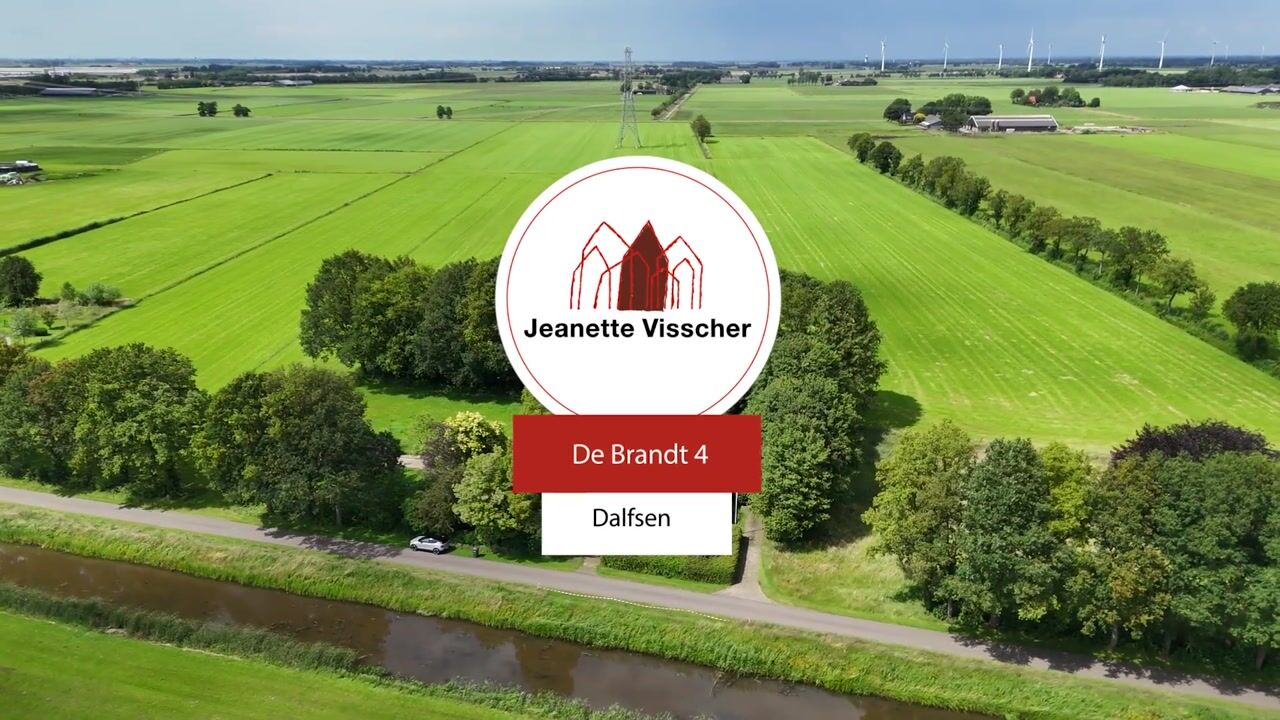 Video of De Brandt 4