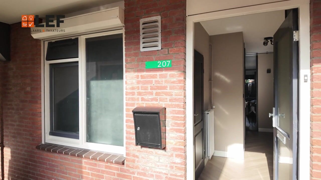 Video of Antilopespoor 207