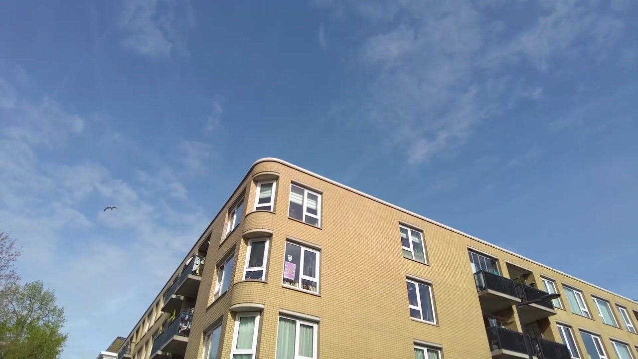 Video van Snellemanstraat 19