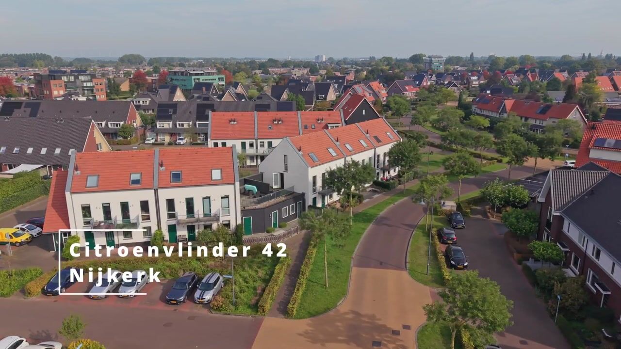 Video van Citroenvlinder 42