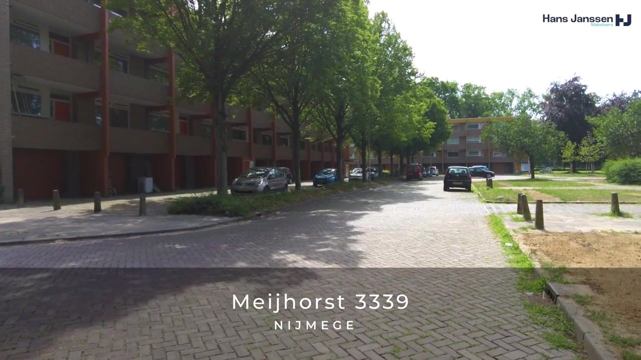 Video of Meijhorst 3339