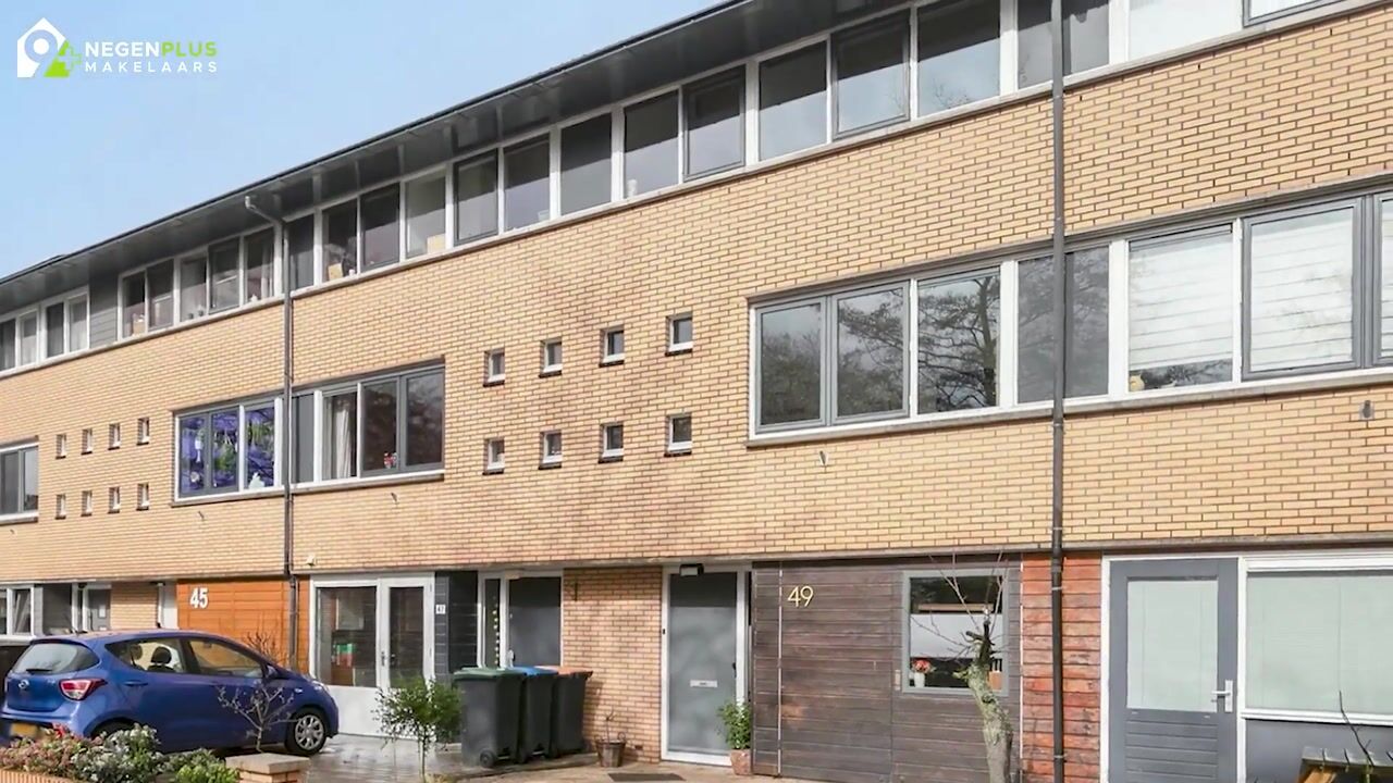 Video van Kaasjeskruid 49