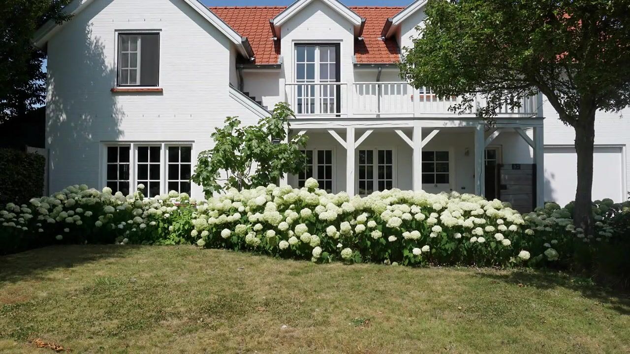 Video of Groenevelt 12
