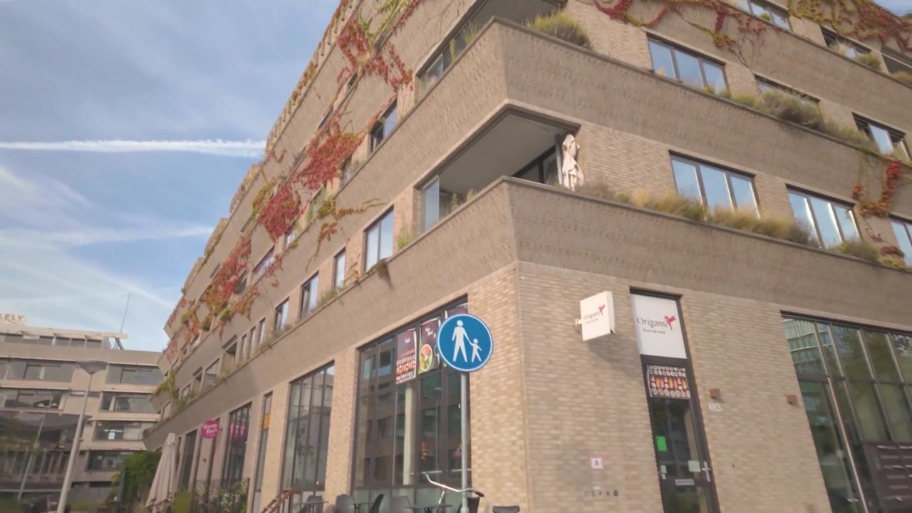 Video van Schipluidenlaan 204