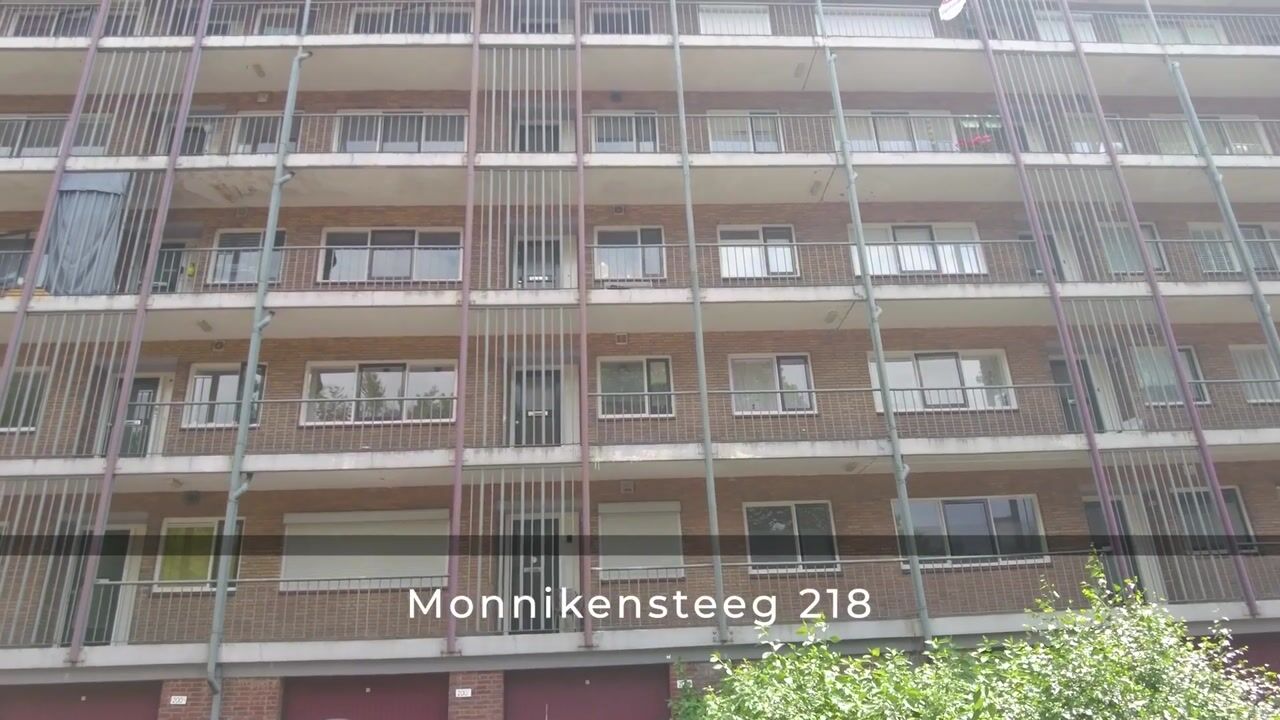 Video van Monnikensteeg 218