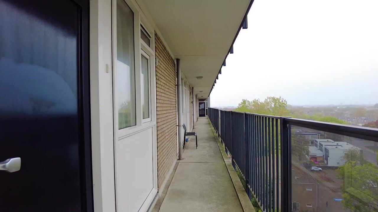 Video of Antwerpenstraat 538