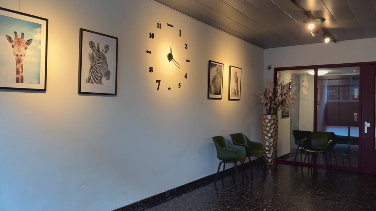 Video van Willinkplein 75